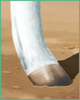 hooves.png